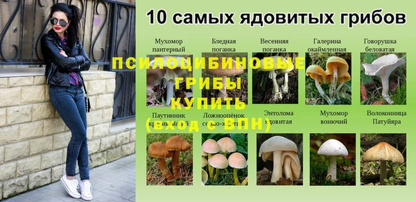 мяу мяу мука Балахна