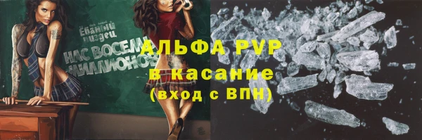 спайс Баксан