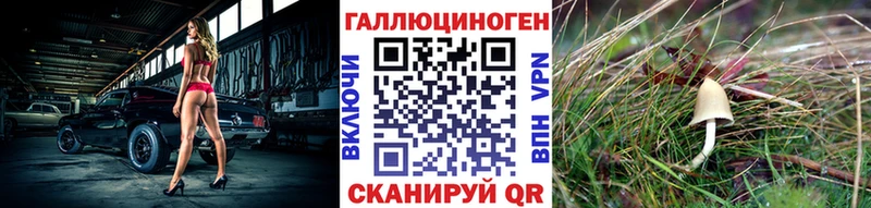 Псилоцибиновые грибы Magic Shrooms omg ссылка Вяземский
